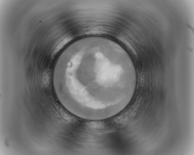 X0000096400874200802141516