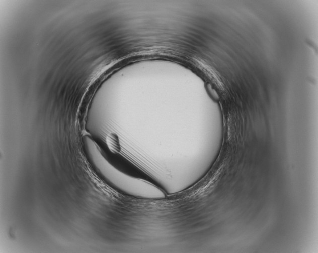 X0000096400876200802141516