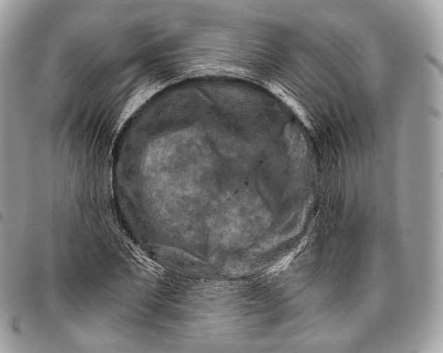 X0000096400877200802141516