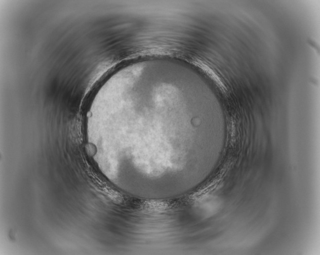 X0000096400878200802141516