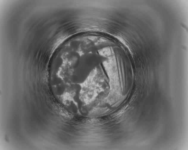 X0000096400879200802141516