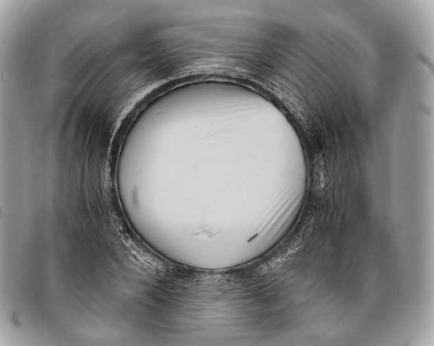 X0000096400880200802141516