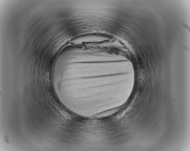 X0000096400881200802141516