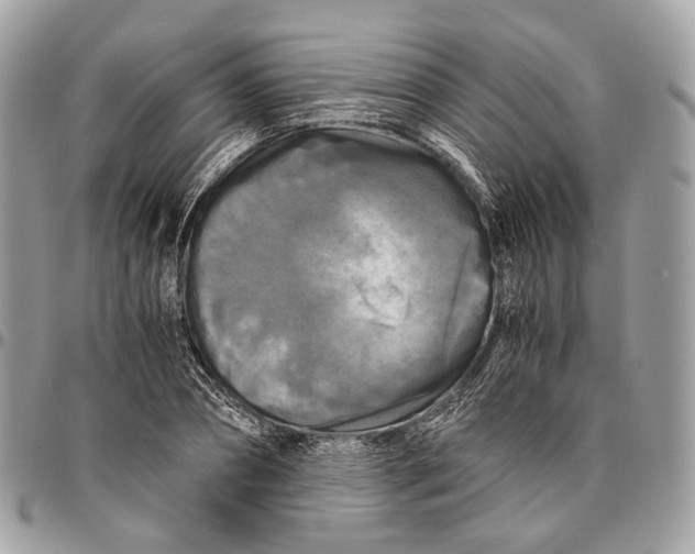 X0000096400882200802141516