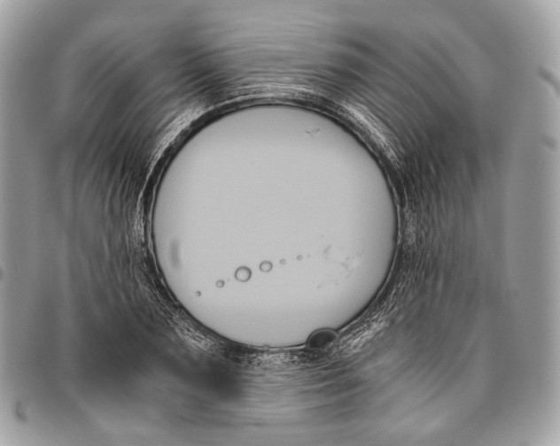 X0000096400883200802141516