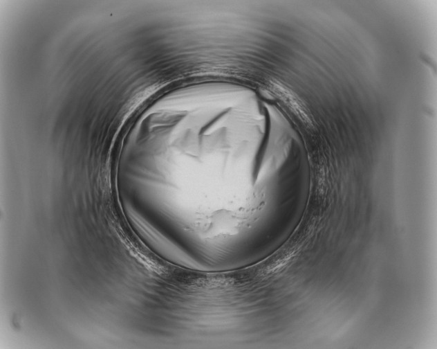 X0000096400884200802141516