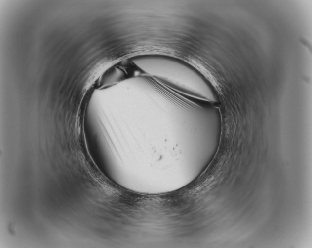 X0000096400885200802141516