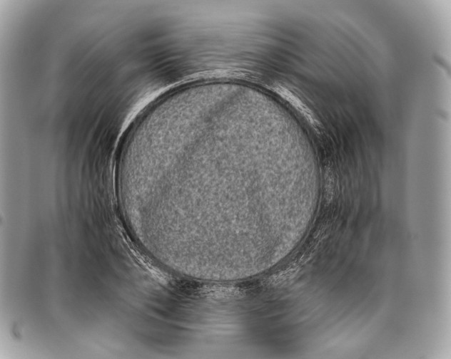 X0000096400886200802141516