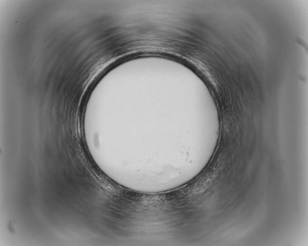 X0000096400887200802141516