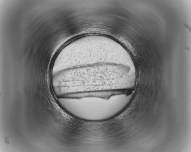 X0000096400888200802141516