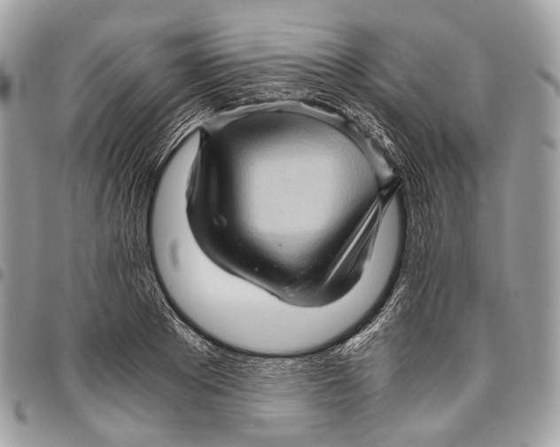 X0000096400889200802141516