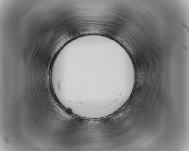 X0000096400890200802141516