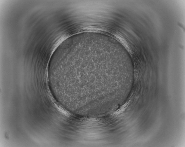 X0000096400891200802141516