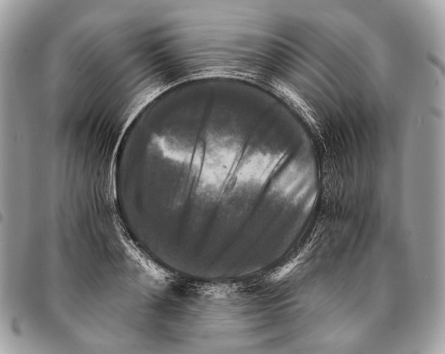 X0000096400892200802141516