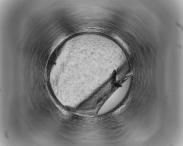 X0000096400893200802141516