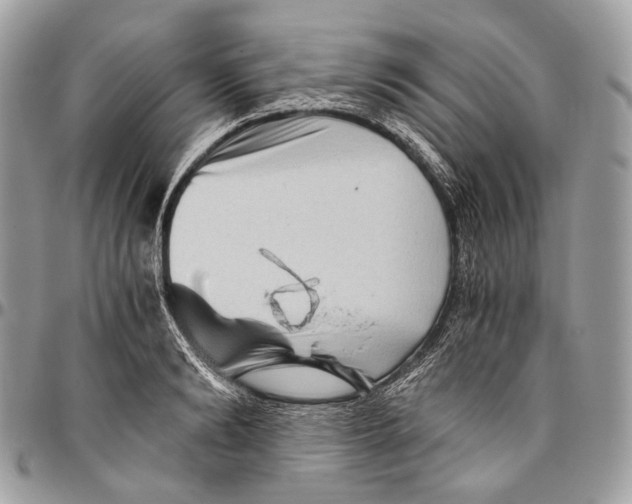 X0000096400894200802141516