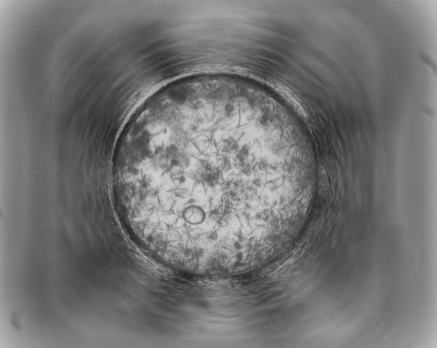 X0000096400895200802141516