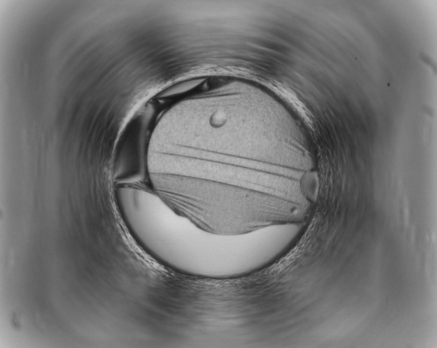 X0000096400896200802141516