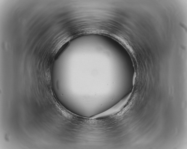 X0000096400897200802141515