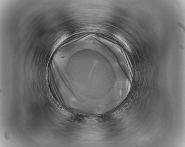 X0000096400899200802141515