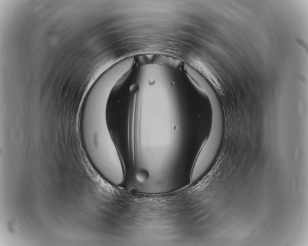 X0000096400900200802141515