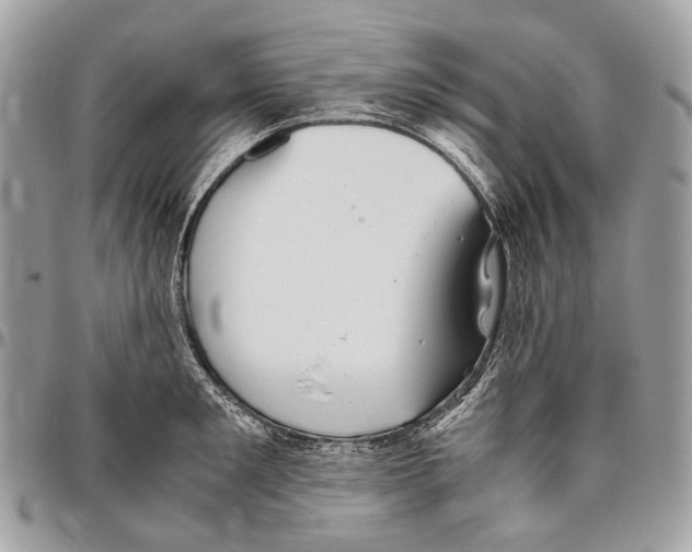 X0000096400901200802141515