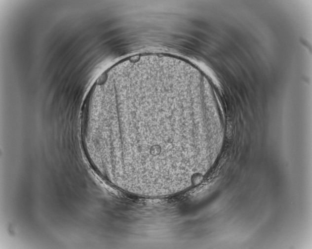 X0000096400903200802141515