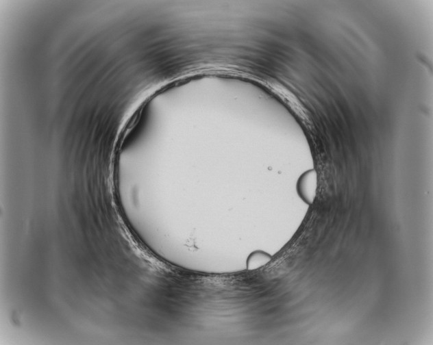 X0000096400904200802141515