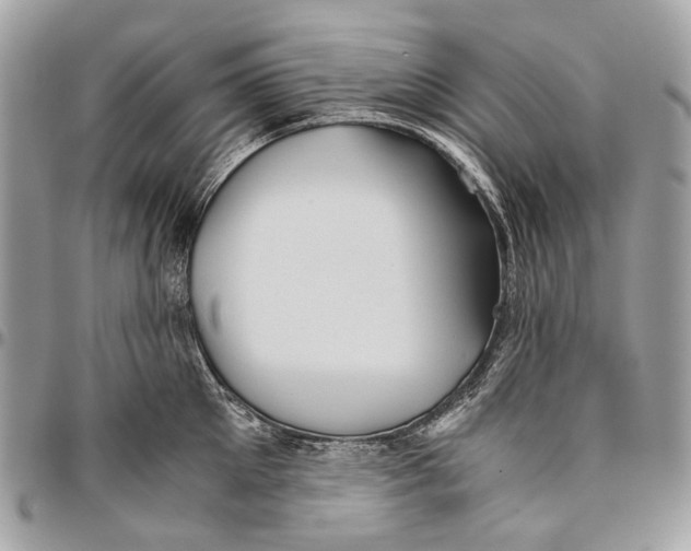 X0000096400905200802141515