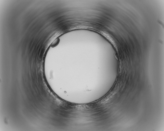 X0000096400906200802141515