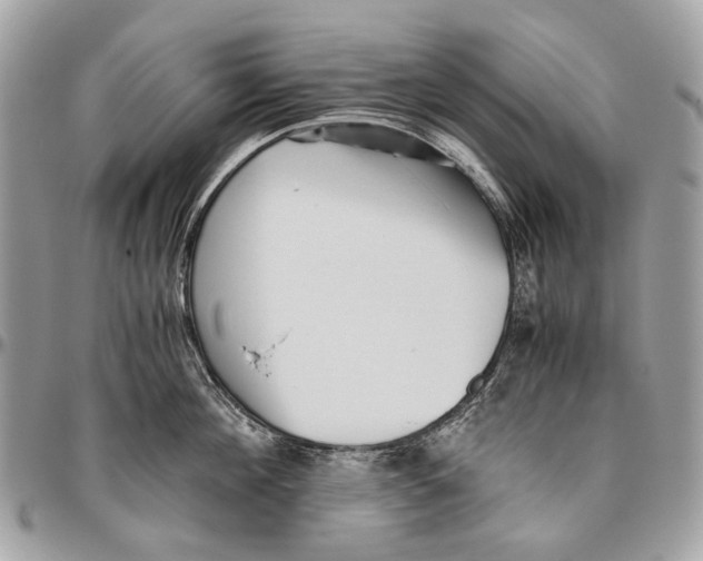 X0000096400908200802141515