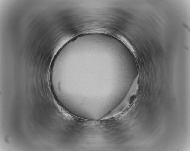 X0000096400909200802141515