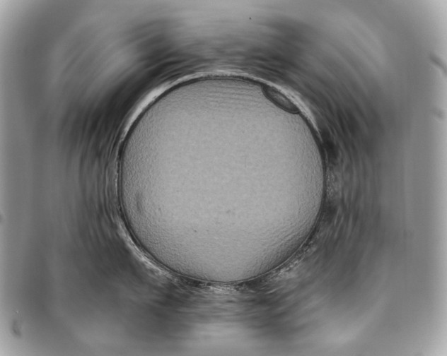 X0000096400911200802141515