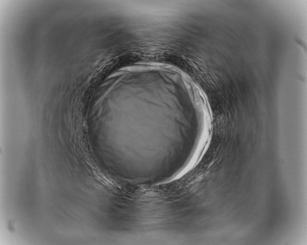 X0000096400913200802141514