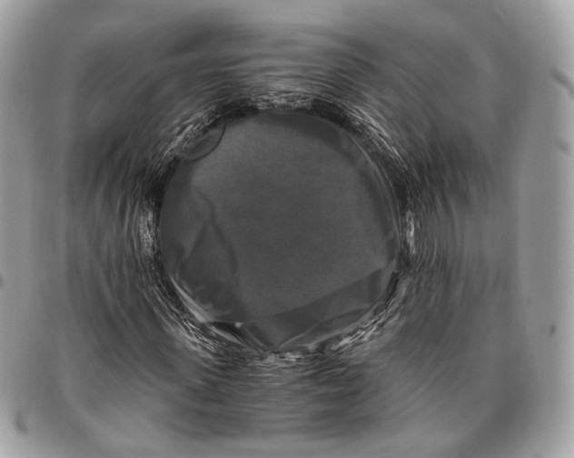 X0000096400915200802141514