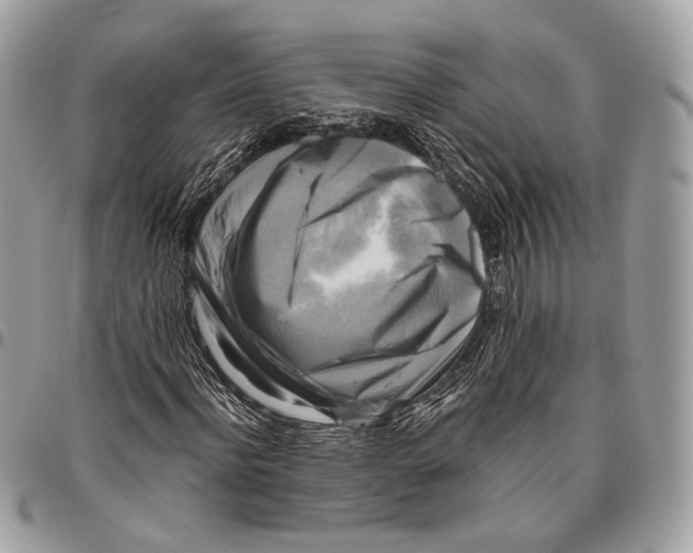 X0000096400916200802141514