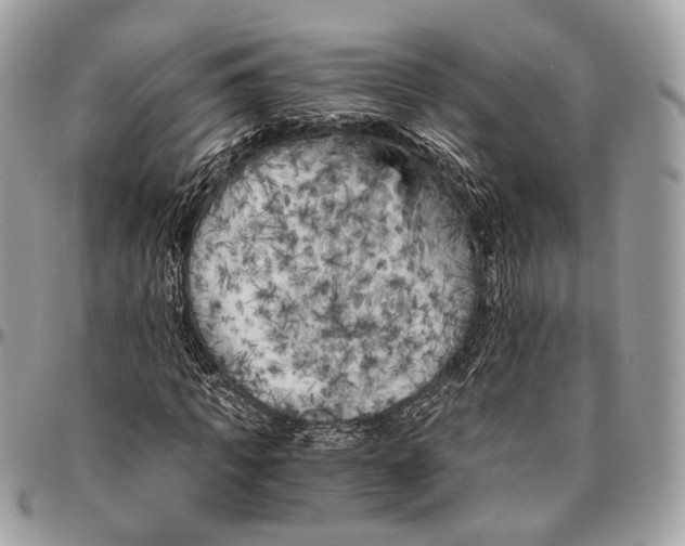 X0000096400917200802141515