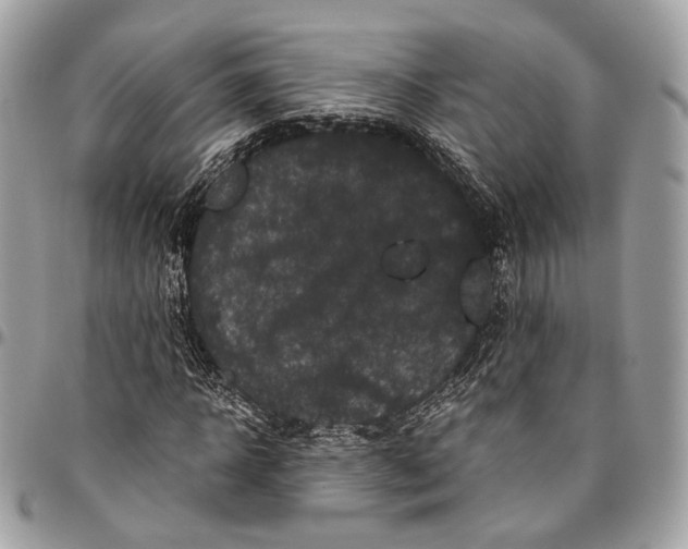 X0000096400918200802141515