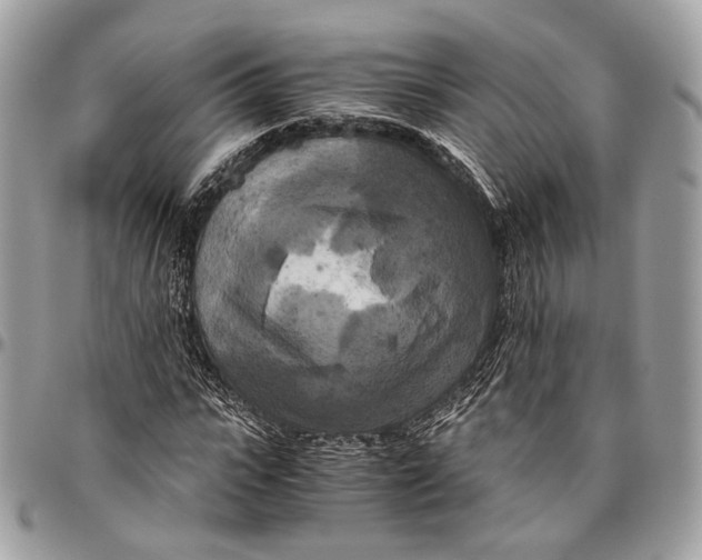 X0000096400919200802141515