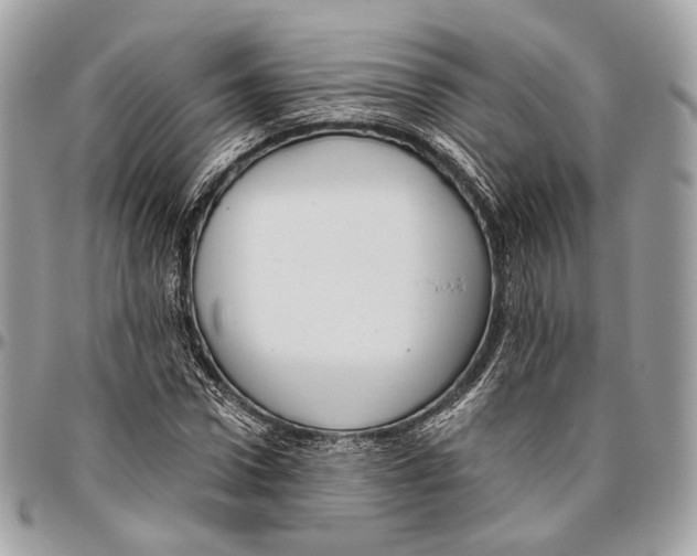 X0000096400922200802141515