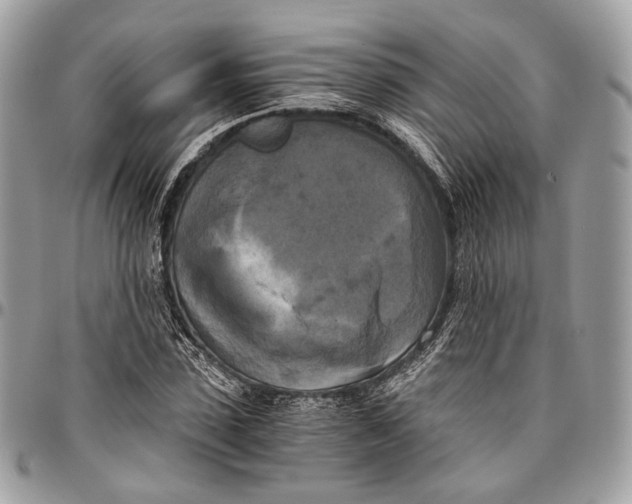 X0000096400923200802141515