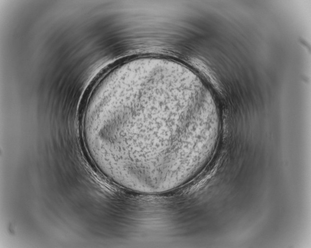 X0000096400924200802141515