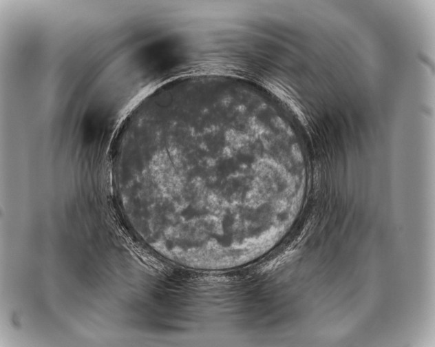 X0000096400925200802141515