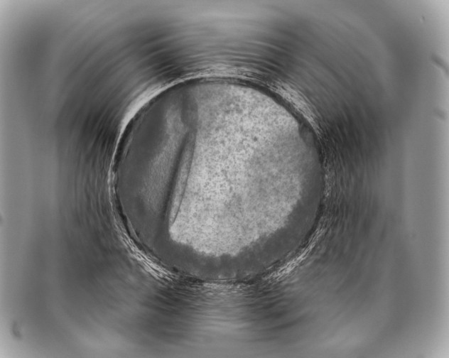 X0000096400928200802141515