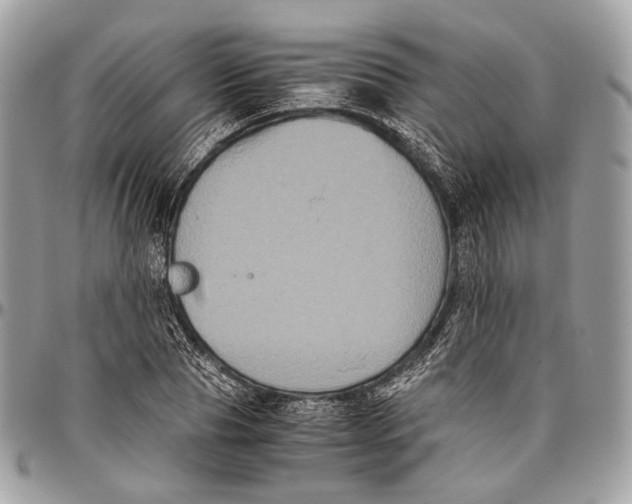 X0000096400929200802141515