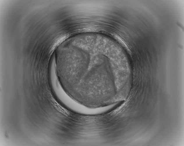 X0000096400930200802141515