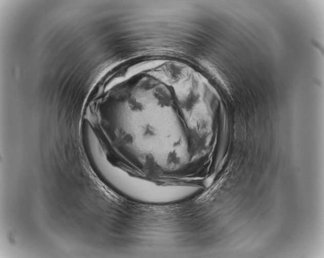 X0000096400932200802141515