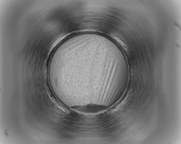 X0000096400933200802141515