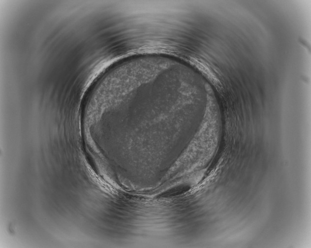 X0000096400934200802141515