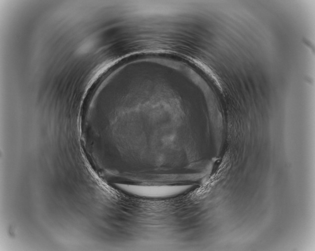 X0000096400935200802141515